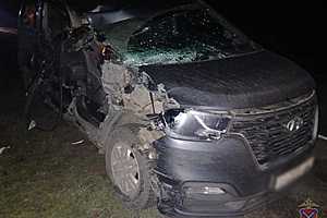 Фото: ГУ МВД России по Волгоградской области