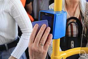 Фото: Дмитрий Рогулин / "Городские вести"