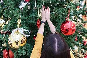 Фото: Дмитрий Рогулин / "Городские вести"