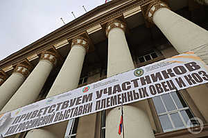 Фото: Дмитрий Рогулин / «Городские вести»