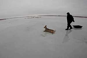 Фото предоставило "КП-Кемерово"