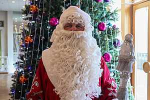 Фото: Дмитрий Рогулин / "Городские вести"