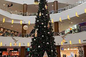 Фото: "Городские вести"