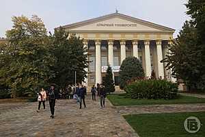 Фото: Дмитрий Рогулин/"Городские вести"