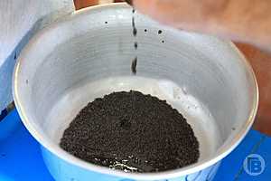 Фото: Дмитрий Рогулин/"Городские вести"