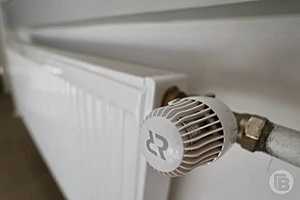 Фото: Дмитрий Рогулин / "Городские вести"