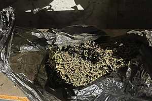 Фото: ГУ МВД России по Волгоградской области