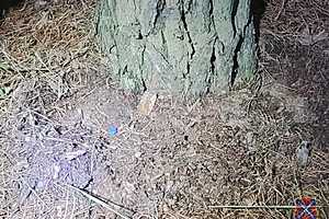 Фото: ГУ МВД России по Волгоградской области