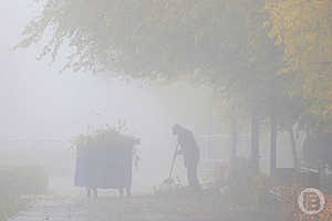 Фото: Дмитрий Рогулин / «Городские вести»