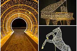 Фото: Администрация Волжского