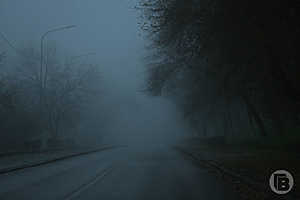 Фото: «Городские вести»