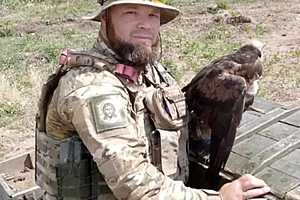 Фото предоставлено депутатом ГосДумы от Волгоградской области Андреем Гимбатовым