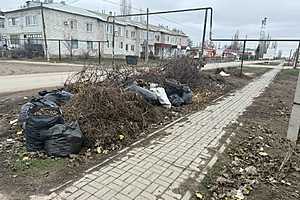 Фото: Прокуратура Волгоградской области