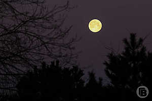 Фото: Дмитрий Рогулин / «Городские вести»