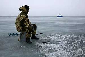 Фото: Дмитрий Рогулин / "Городские вести"
