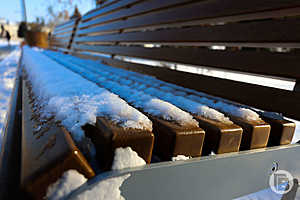 Фото: Дмитрий Рогулин / "Городские вести"