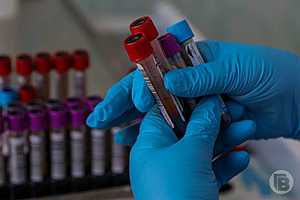 Фото: Дмитрий Рогулин/"Городские вести"