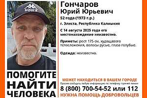 Фото: "ЛизаАлерт" Волгоград