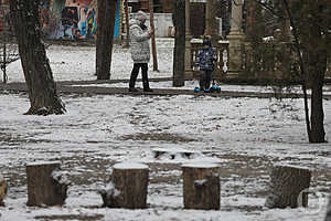 Фото: Дмитрий Рогулин / «Городские вести»