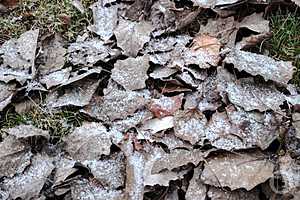 Фото: "Городские вести"