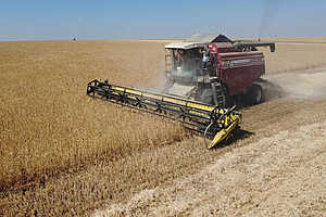 Фото: Дмитрий Рогулин / "Городские вести"