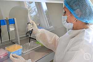 Фото: Дмитрий Рогулин/"Городские вести"