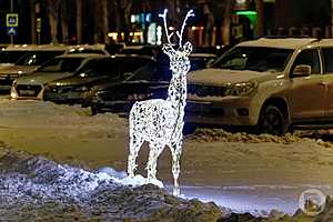 Фото: Дмитрий Рогулин / "Городские вести"
