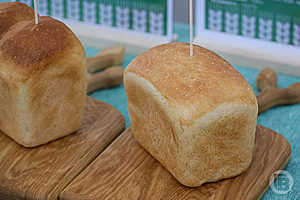 Фото: Дмитрий Рогулин / «Городские вести»