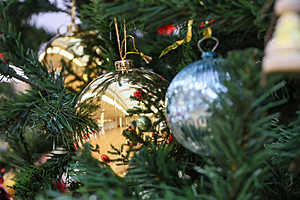 Фото: Дмитрий Рогулин / "Городские вести"