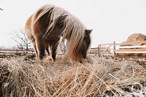 Фото: Данил Савченко / "Городские вести"