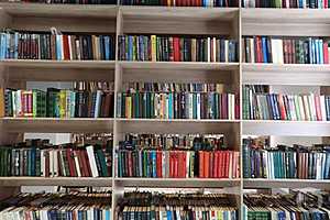 Фото: Дмитрий Рогулин / "Городские вести"