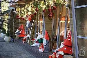 Фото: Дмитрий Рогулин / "Городские вести"