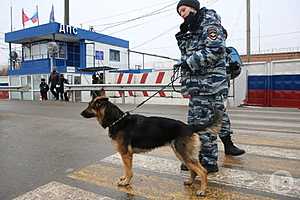 Фото: Дмитрий Рогулин / "Городские вести"