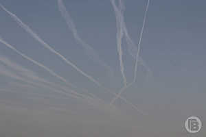 Фото: Дмитрий Рогулин / «Городские вести»