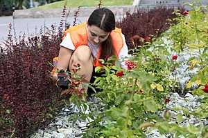 Фото: Дмитрий Рогулин / "Городские вести"
