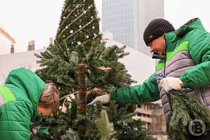 Фото: Дмитрий Рогулин / "Городские вести"