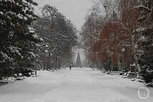 Фото: "Городские вести"