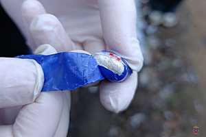 Фото: ГУ МВД России по Волгоградской области