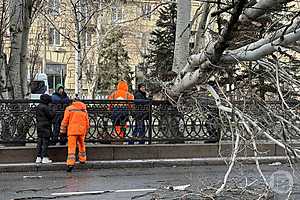 Фото: Данил Савченко/"Городские вести"