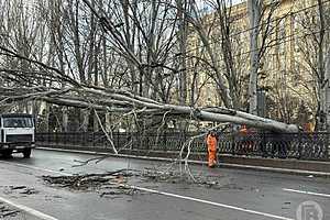 Фото: Данил Савченко / "Городские вести"