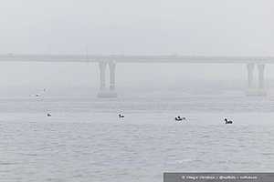 Фото: Олег Димитров / "Городские вести"