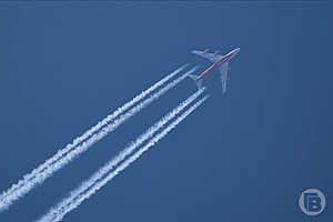 Фото: Дмитрий Рогулин / «Городские вести»