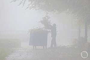 Фото: Дмитрий Рогулин / "Городские вести"