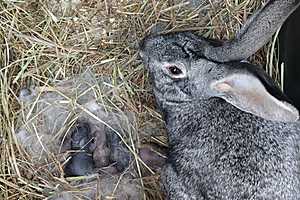 Фото: ЦПКиО