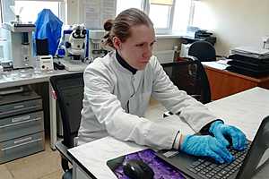 Фото: Волгоградский филиал ФГБУ «ЦОК АПК»