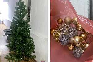 Фото: ГУ МВД России по Волгоградской области