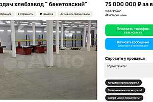 скриншот: "Авито"