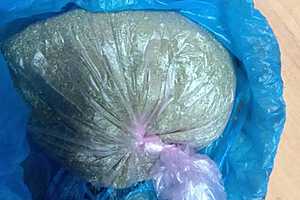 фото: ГУ МВД России по Волгоградской области