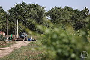 Фото: «Городские вести»