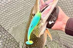 Фото: Александр Ляшенко